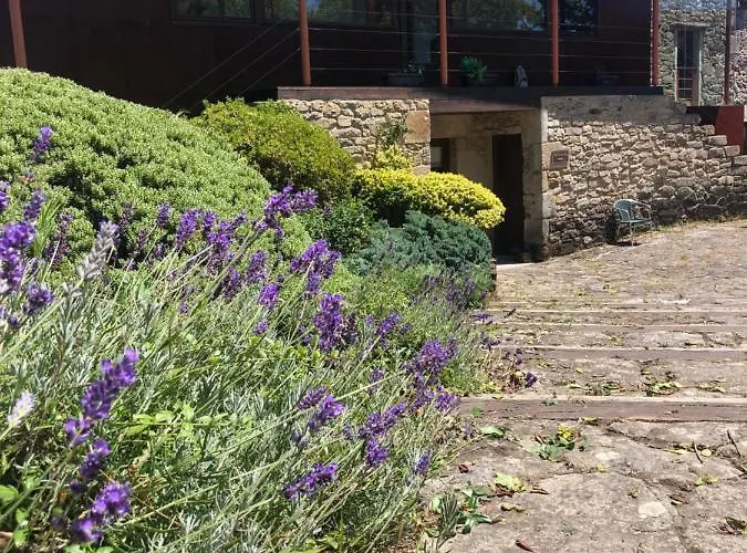 Rectoral De Lestedo カントリーハウス Palas de Rei